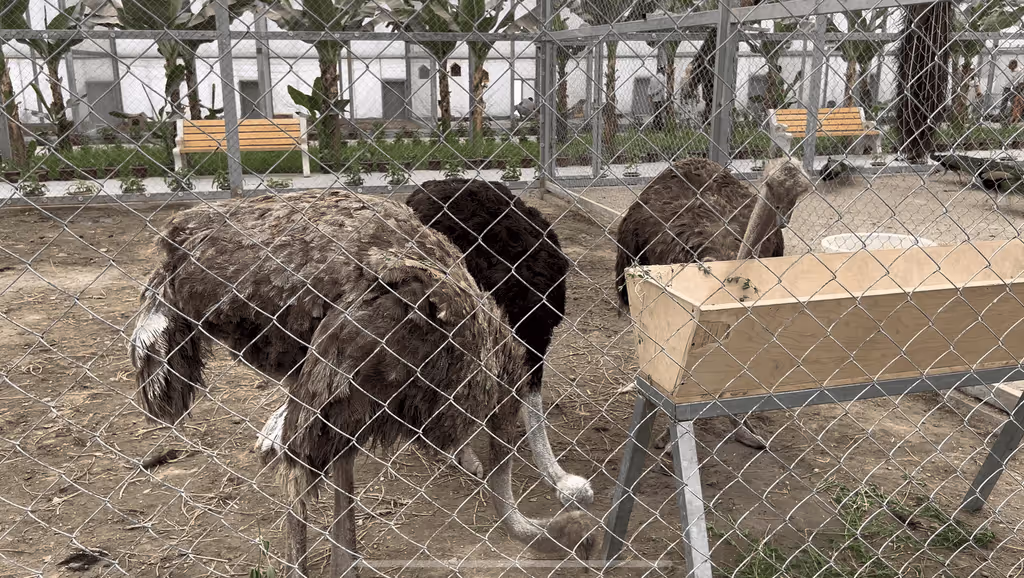 Bukhara Private Tour - Zoo in Varnet Botanical Garden