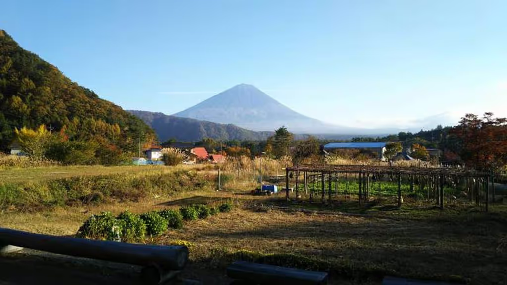 Tokyo Private Tour - Saiko Iyashino sato Nenba