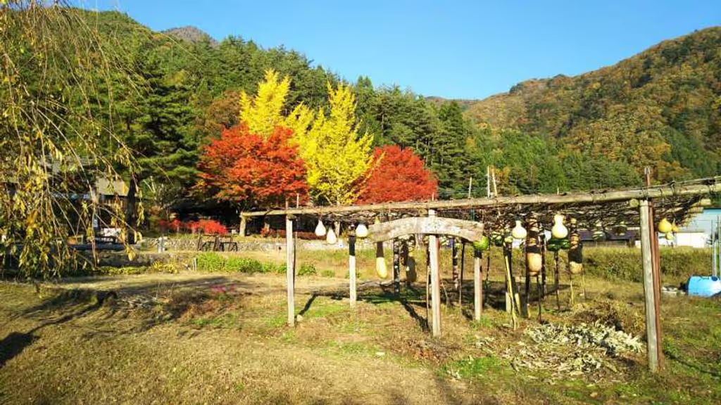 Tokyo Private Tour - Saiko Iyashino sato Nenba