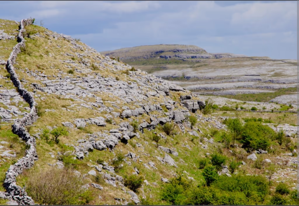 Dublin Private Tour - The Burren