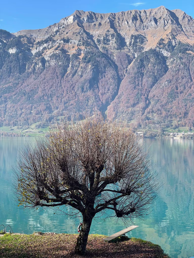 Lucerne Private Tour - 