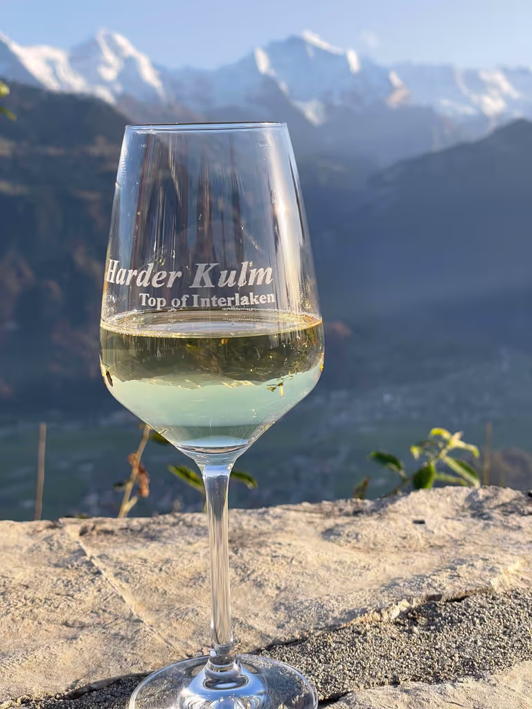 Lucerne Private Tour - 