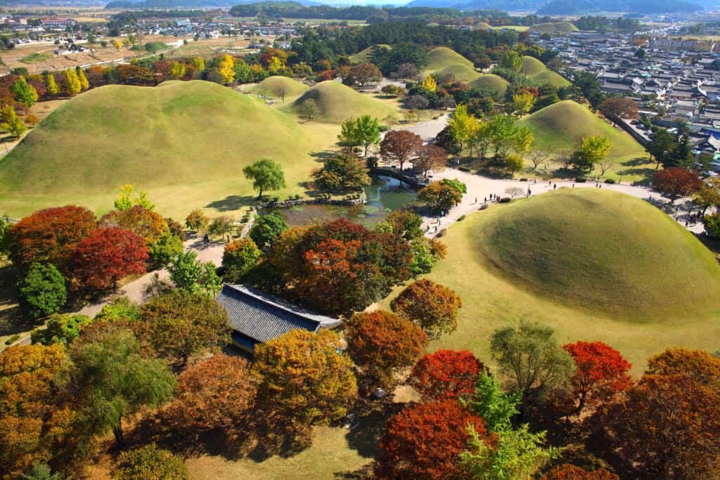 Busan Private Tour - 