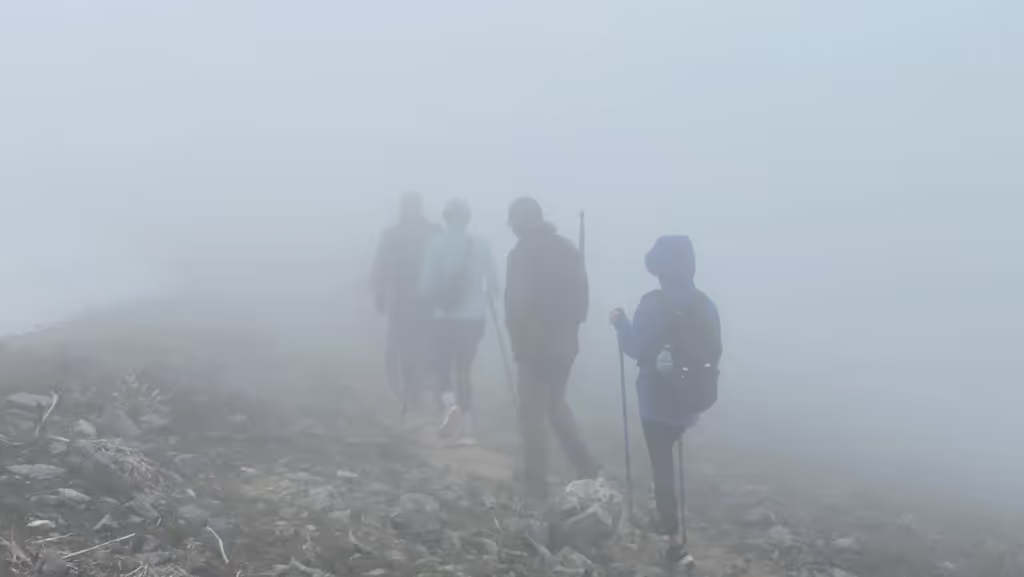 Tashkent Private Tour - Chimgan Mountain hiking