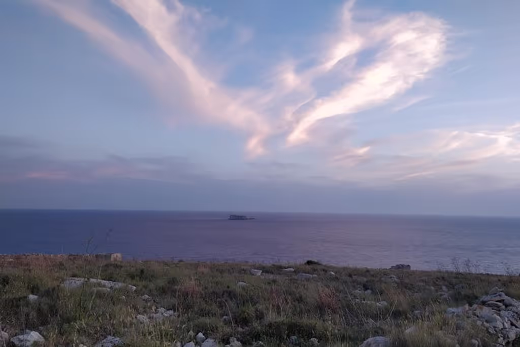 Malta Private Tour - Filfla island in the skyline