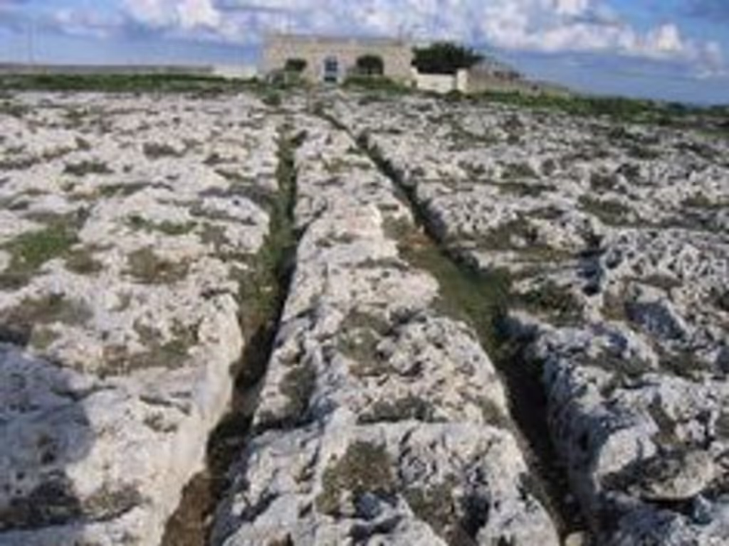 Malta Private Tour - Clapham Junction 'Cart Ruts'