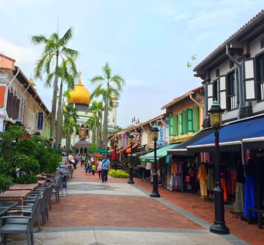 Singapore Private Tour - Haji Lane