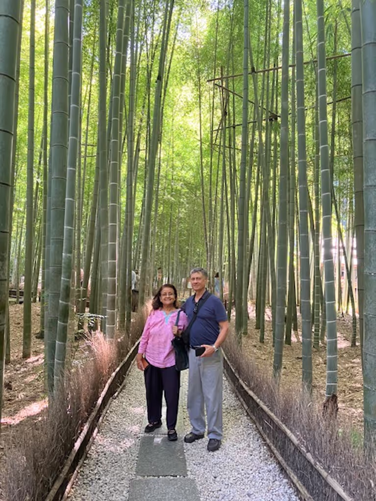 Yokohama Private Tour - Hokokuji Bamboo Forest