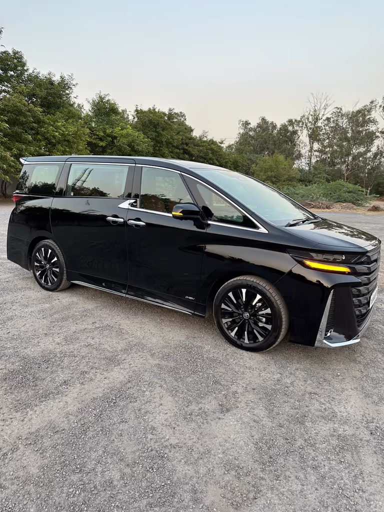 Delhi Private Tour - Luxury Cab VELLFIRE