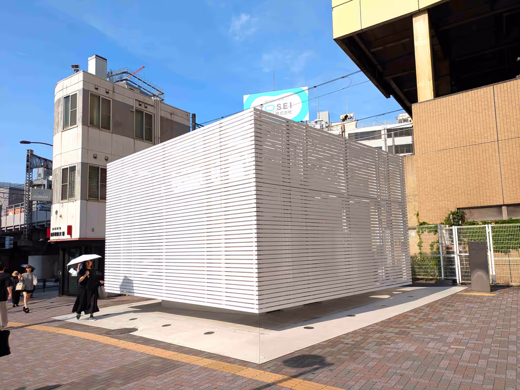Tokyo Private Tour - White toilets.