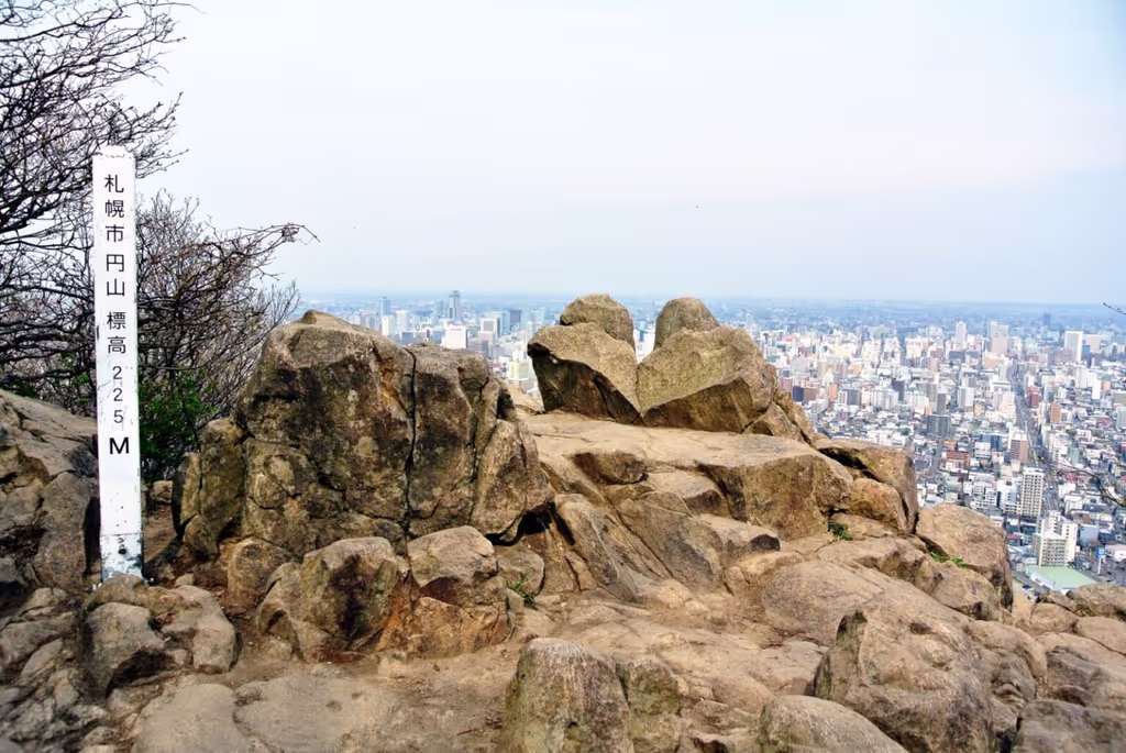 Sapporo Private Tour - The Summit of Mt. Maruyama