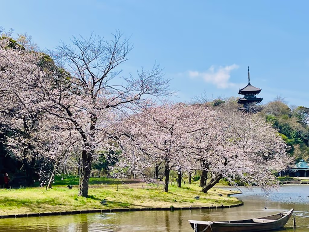 Yokohama Private Tour - Sankein in Spring