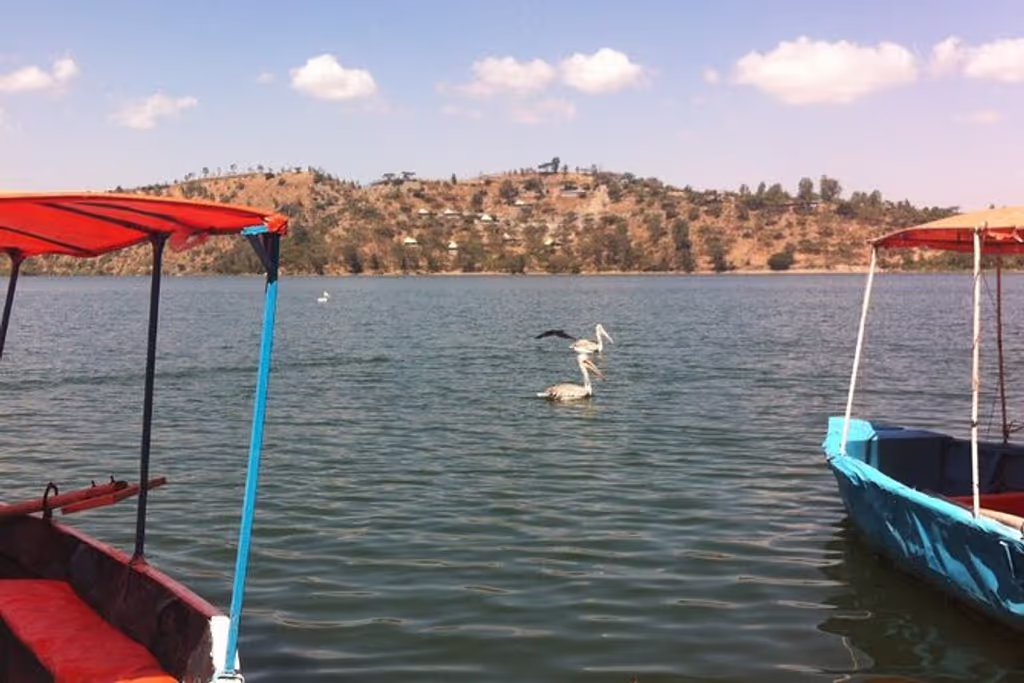 Addis Ababa Private Tour - 