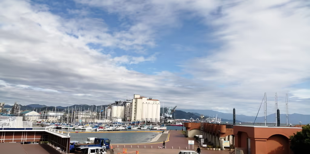 Shimizu Private Tour - Shimizu Port