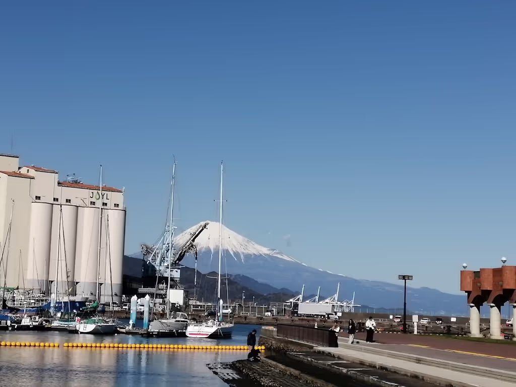 Shimizu Private Tour - Mt. Fuji in the Background