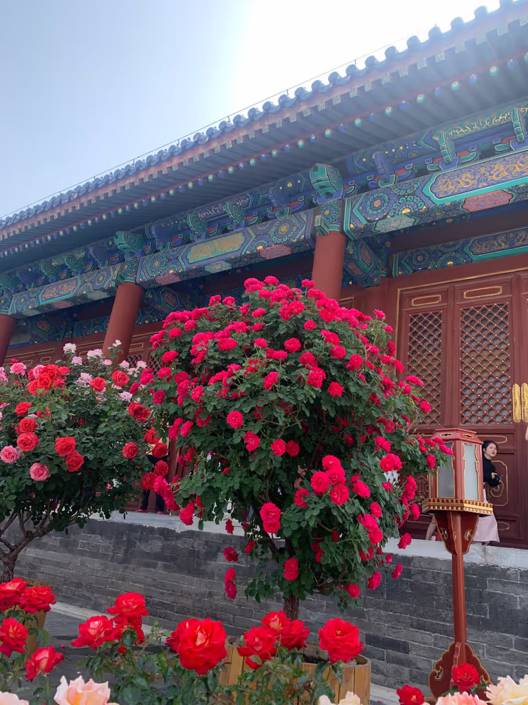 Beijing Private Tour - 