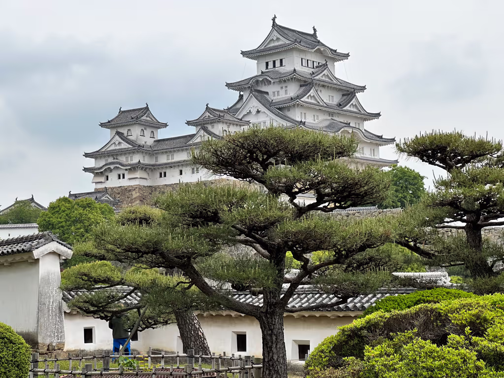 Osaka Private Tour - a view from west bailey(Nishinomaru)