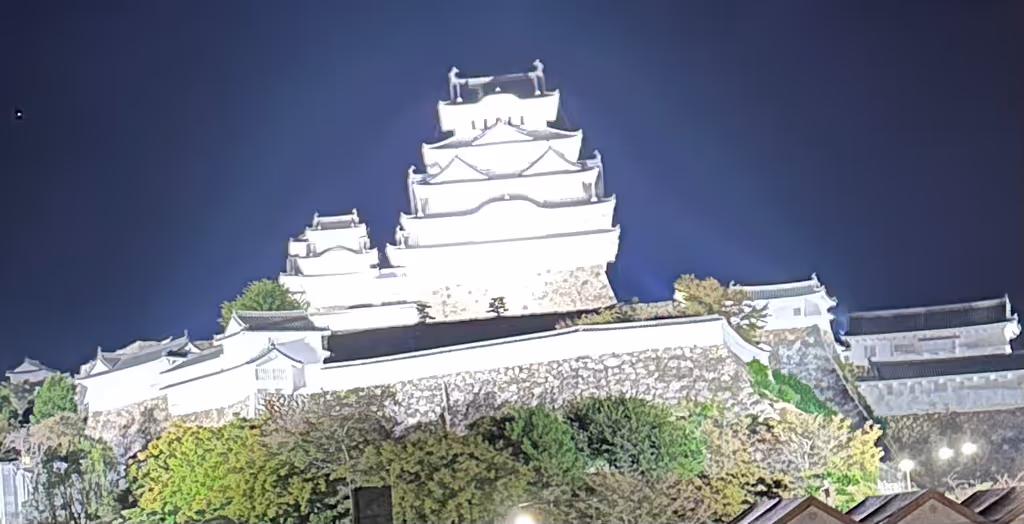 Osaka Private Tour - night view of Mainkeep