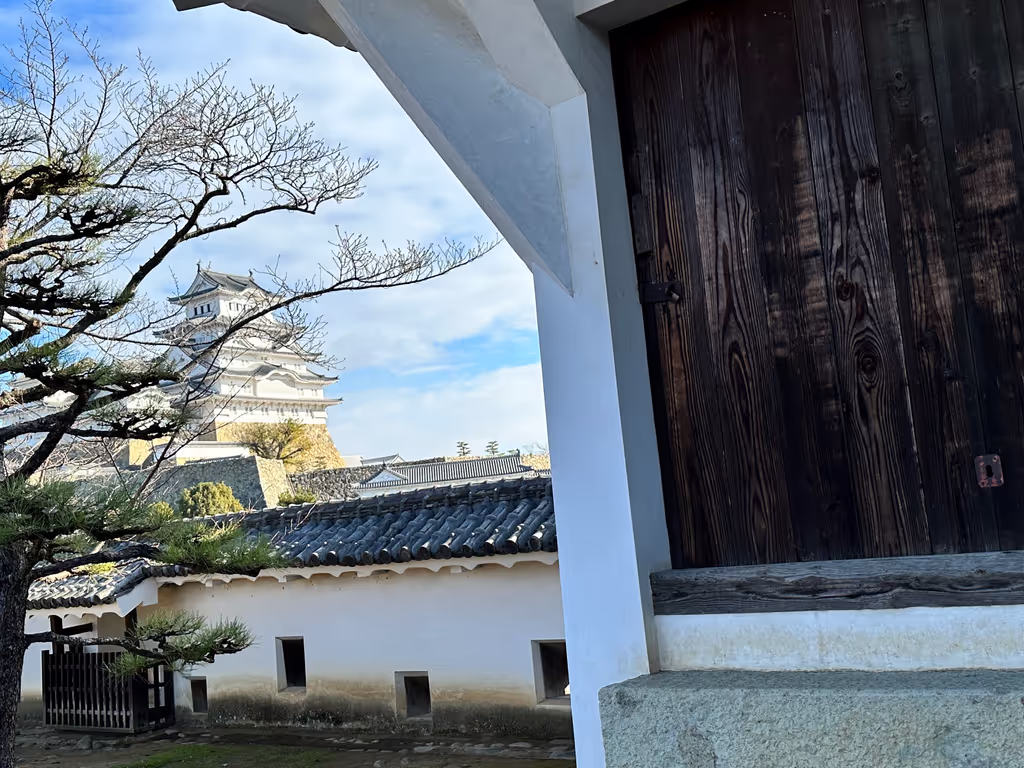 Osaka Private Tour - a special angle view at the Cosmetic Yagura