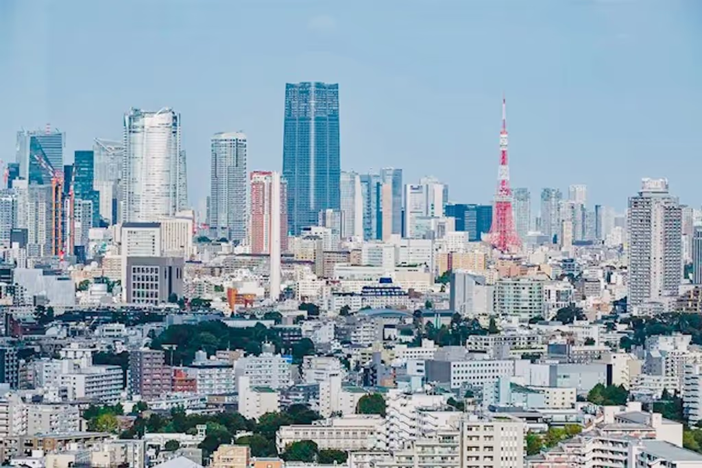 Tokyo Private Tour - View from Carrot Tower