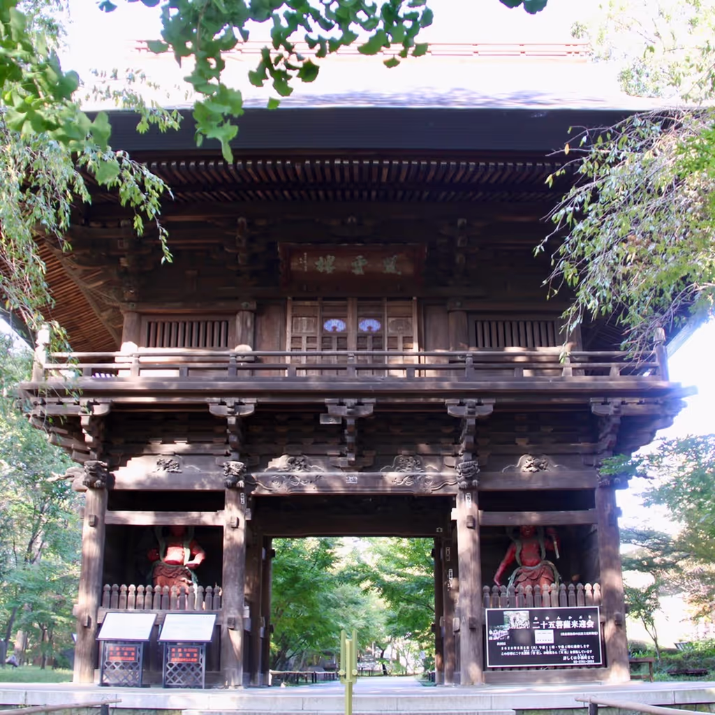 Tokyo Private Tour - Nio Gate of Kuhonbutsu Joshinji Temple