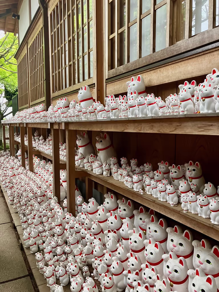 Tokyo Private Tour - Line-up of 'Maneki-Neko'