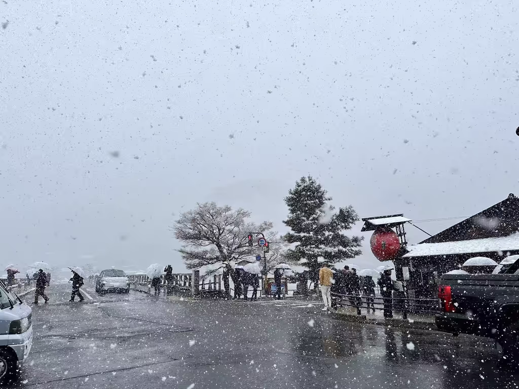 Kyoto Private Tour - snow on the Togetsukyo bridge