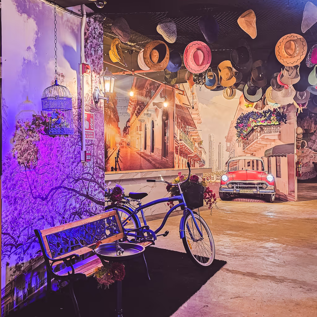 Panama City Private Tour - Themed Area 2
