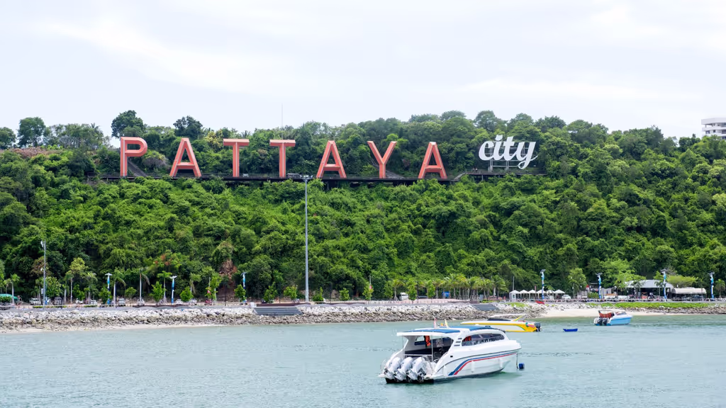 Bangkok Private Tour - Pattaya view