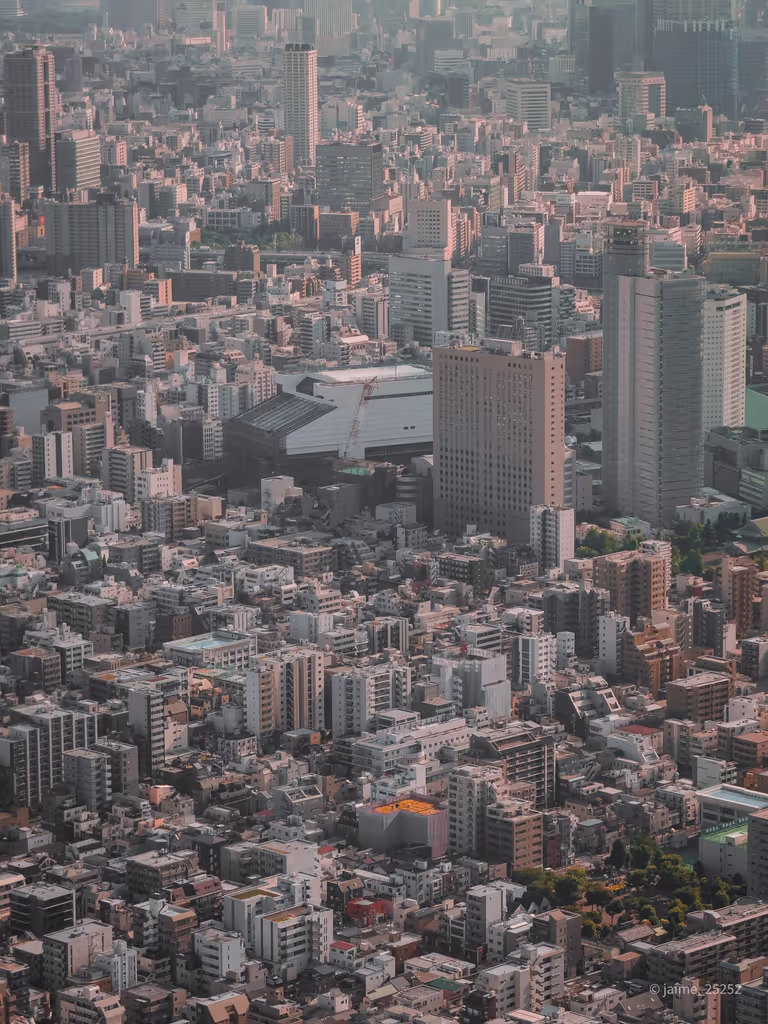 Tokyo Private Tour - Central Tokyo from Sky Tree