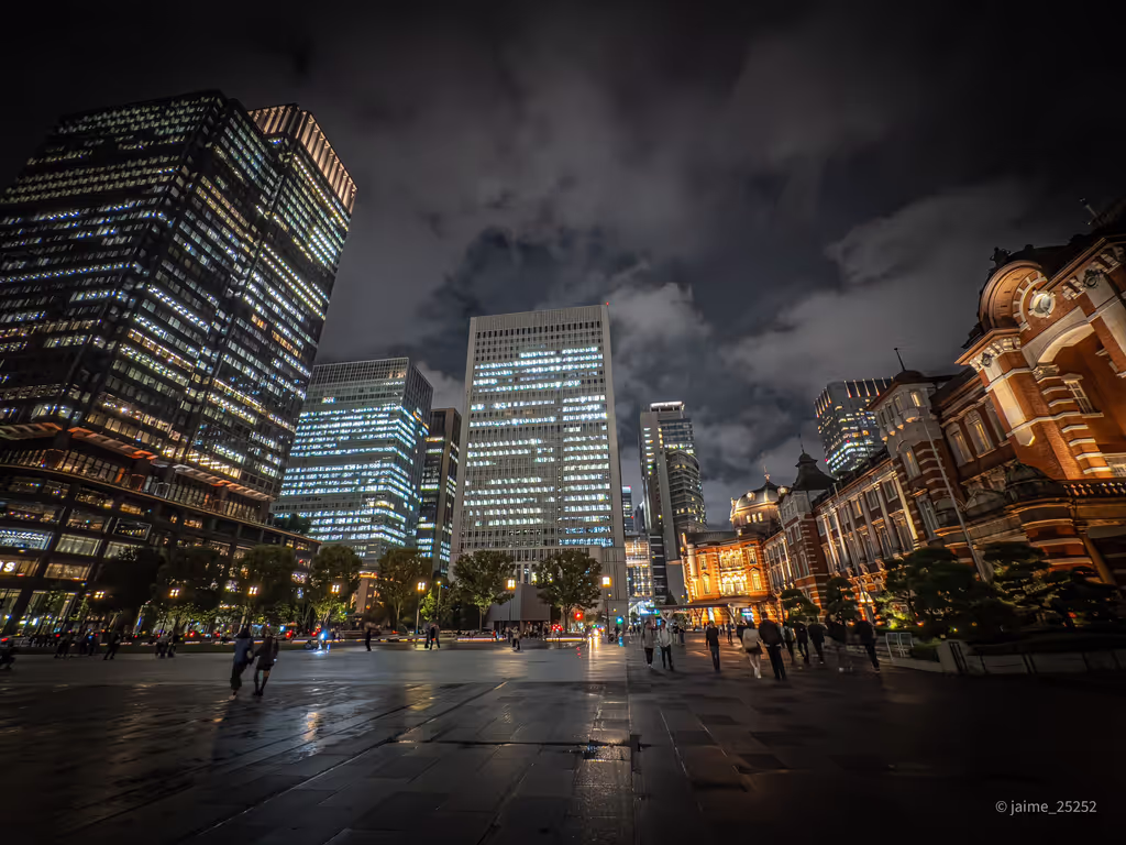 Tokyo Private Tour - Tokyo Station