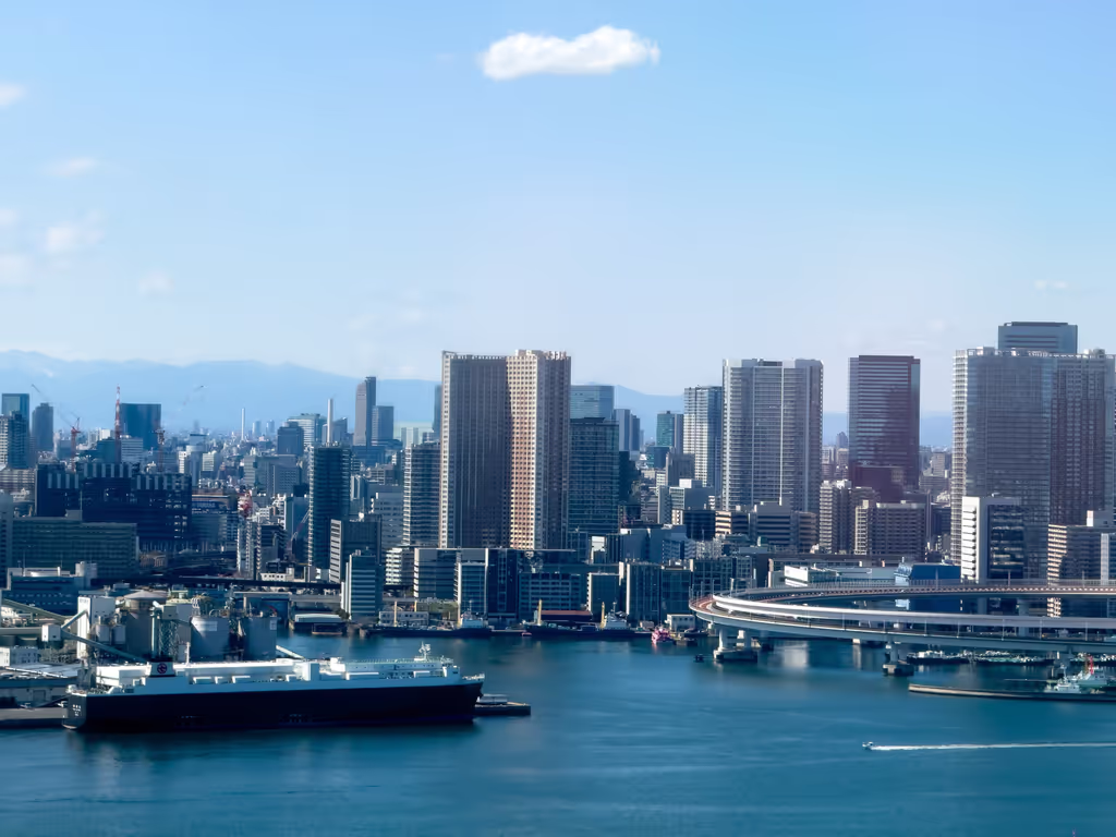 Tokyo Private Tour - Tokyo Bay