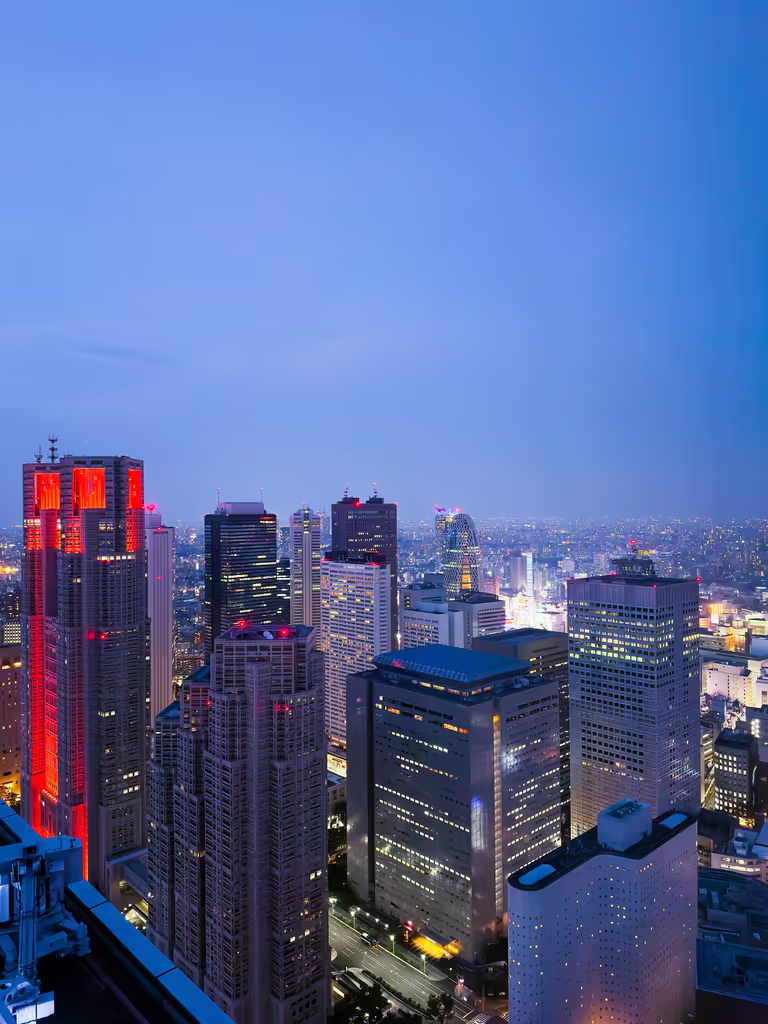 Tokyo Private Tour - Shinjuku at dusk