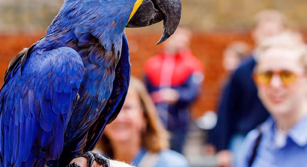 London Private Tour - 