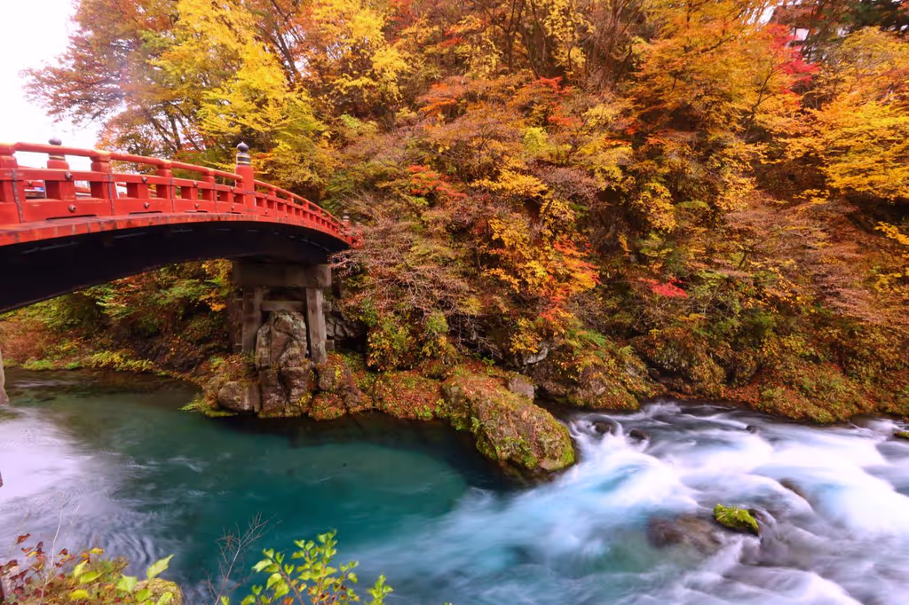 Tochigi Private Tour - 