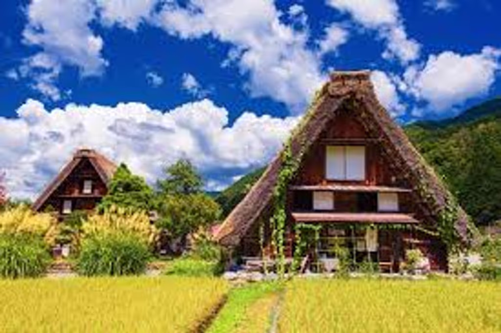 Nagoya Private Tour - Shirakawago