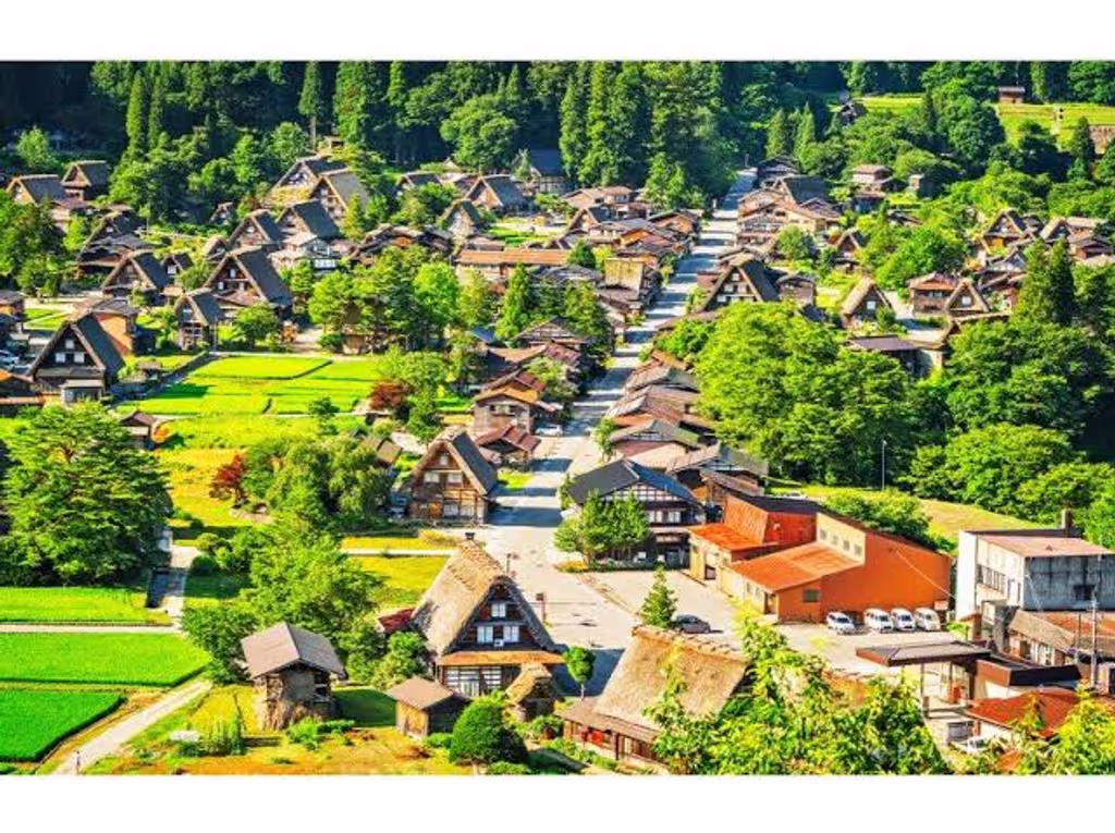 Nagoya Private Tour - Shirakawago