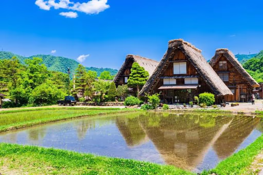 Nagoya Private Tour - Shirakawago