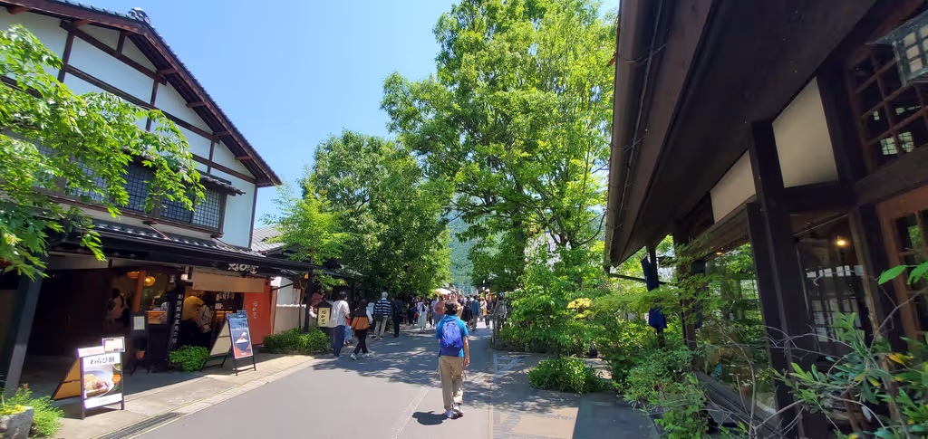 Oita Private Tour - Yunotsubo-street