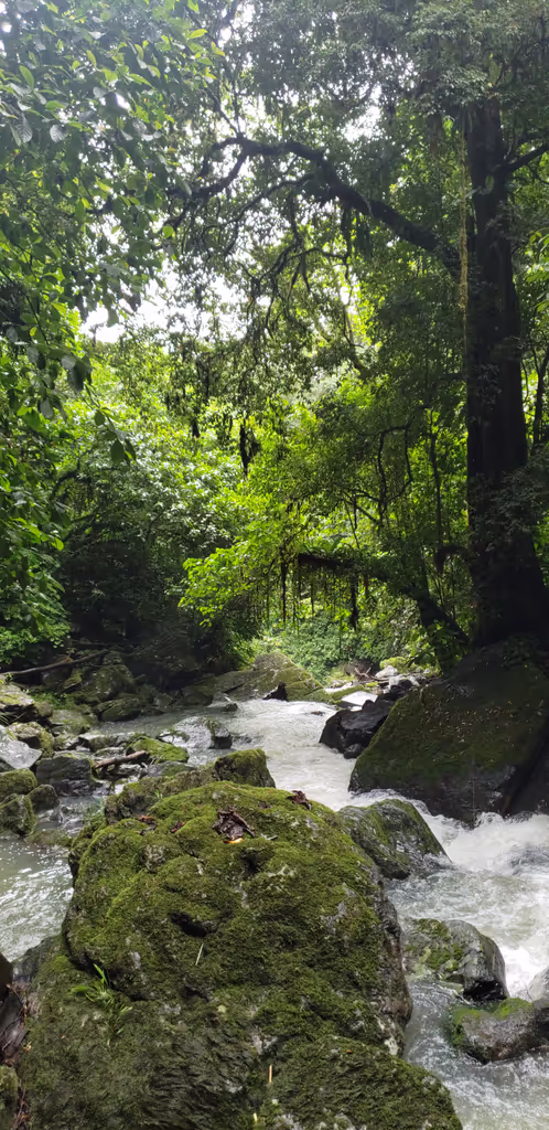 Quito Private Tour - 