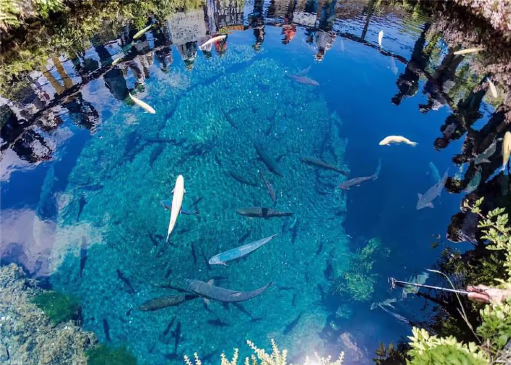 Yokohama Private Tour - 