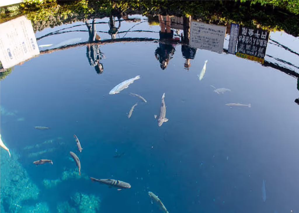 Yokohama Private Tour - 