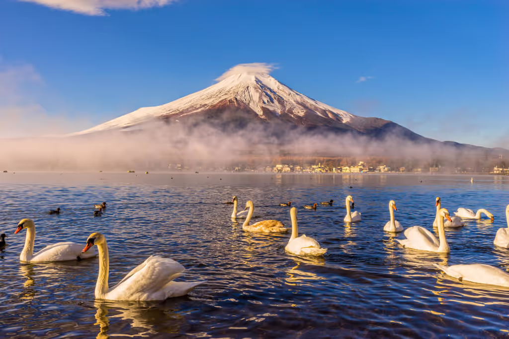 Yokohama Private Tour - 