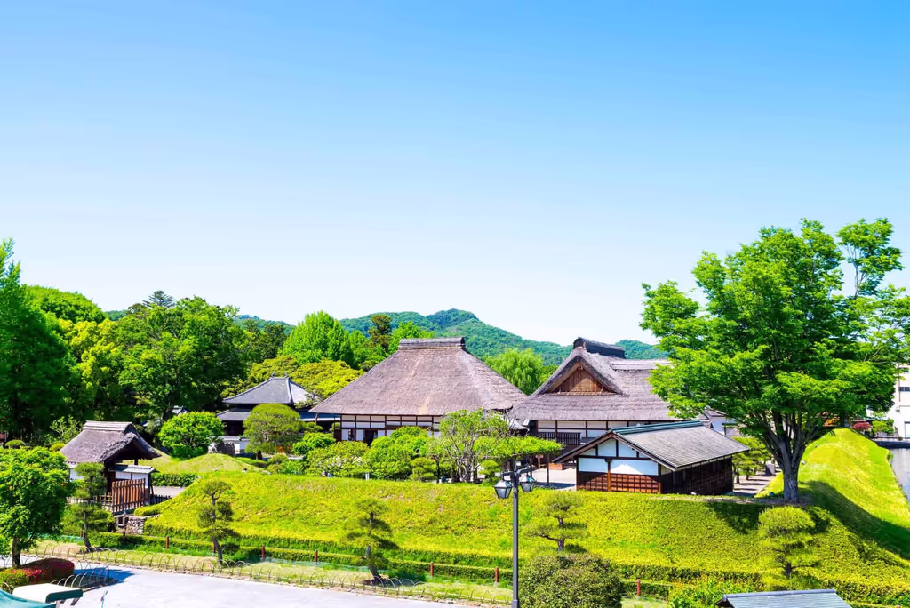 Tochigi Private Tour - 