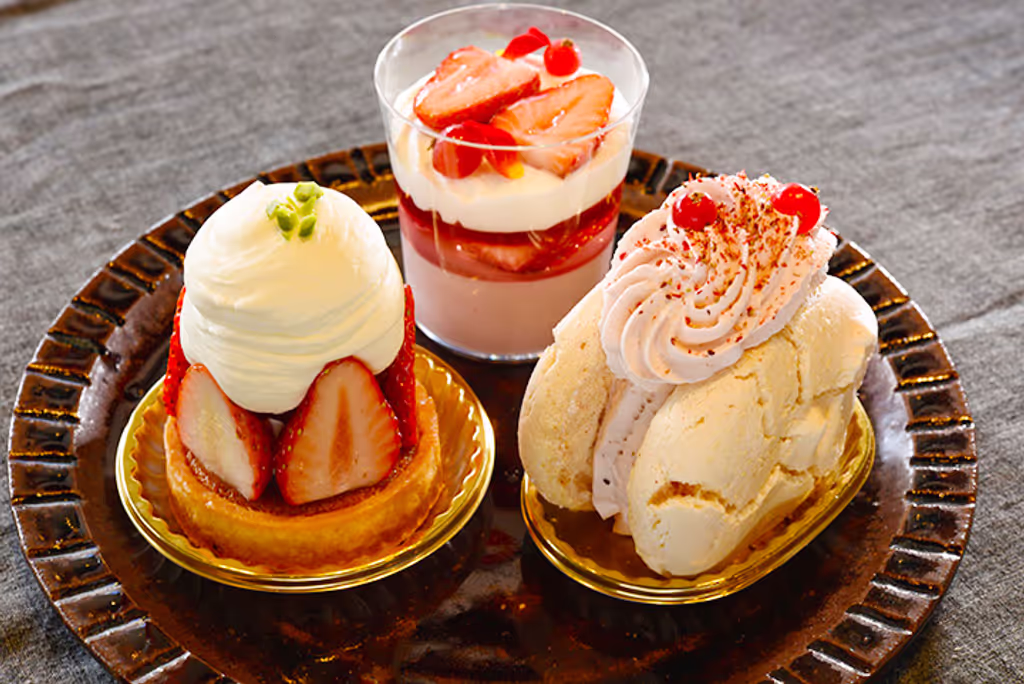 Tochigi Private Tour - 
