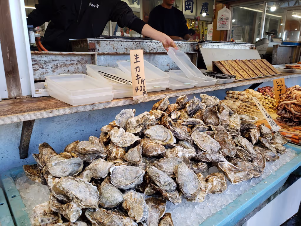 Ibaraki Private Tour - 