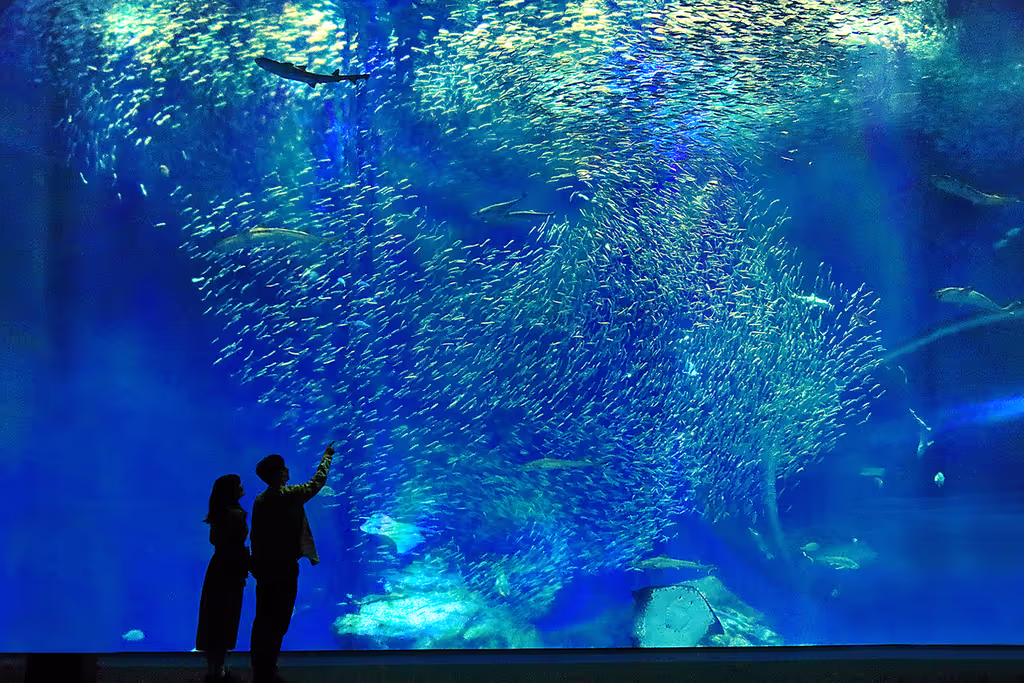 Ibaraki Private Tour - 