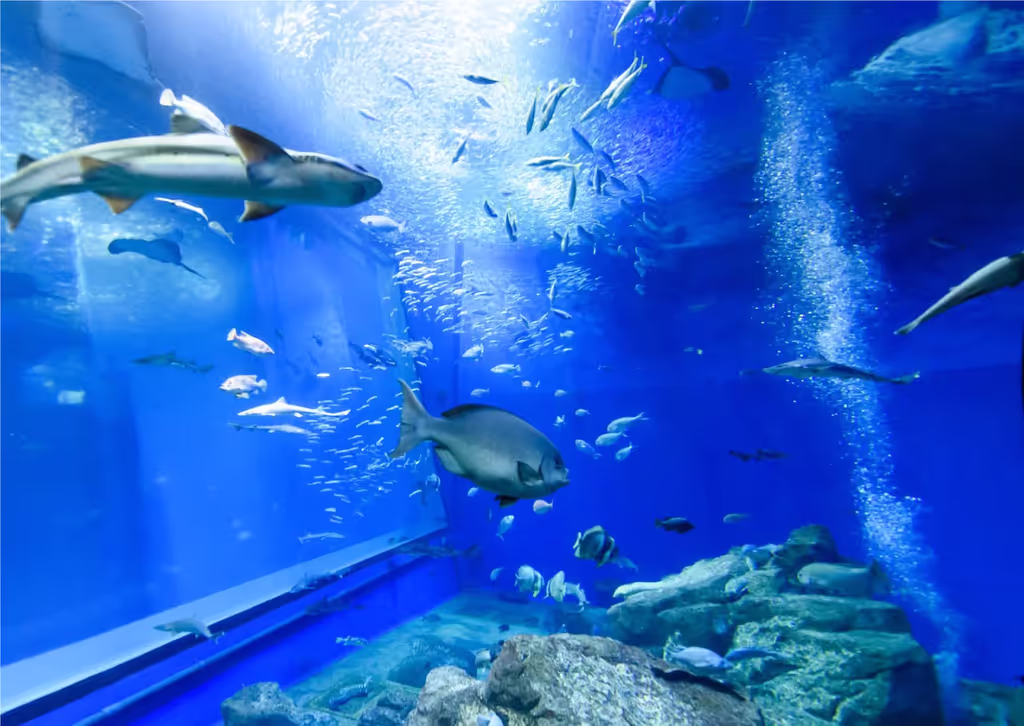 Ibaraki Private Tour - 