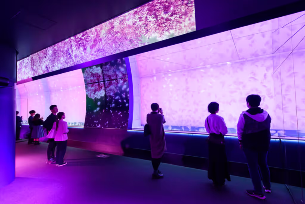 Ibaraki Private Tour - 