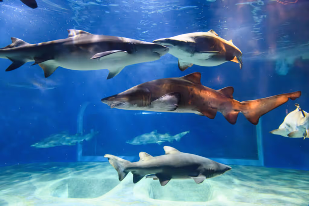 Ibaraki Private Tour - 